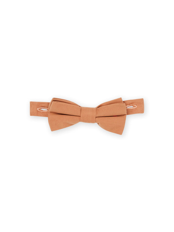 Greige shirt and brown bow tie