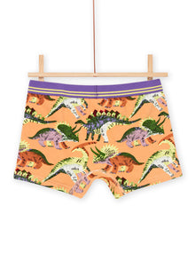  3 boxers with dinosaur print