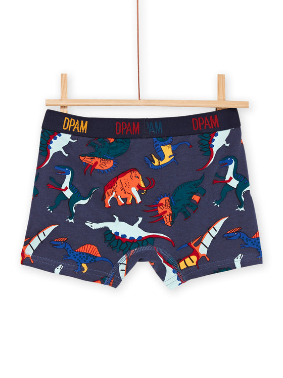 Pack of 5 boxers with dinosaur print