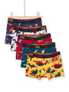 Pack of 5 boxers with dinosaur print