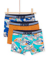 Pack of 3 assorted boxers with shoes print
