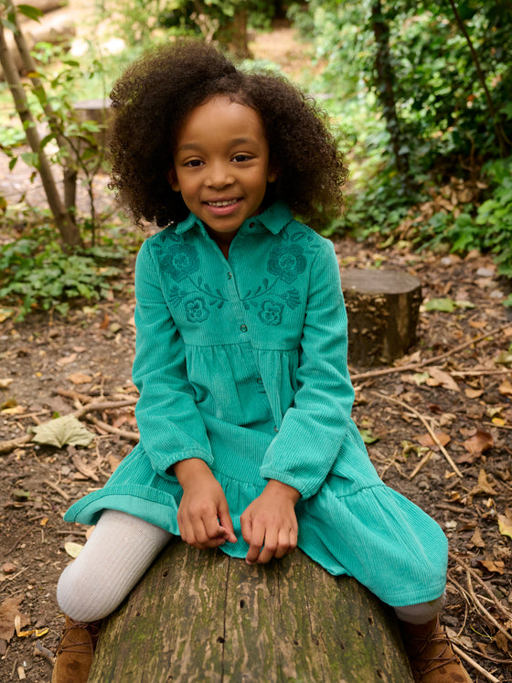 Girl peacock blue velvet shirt dress