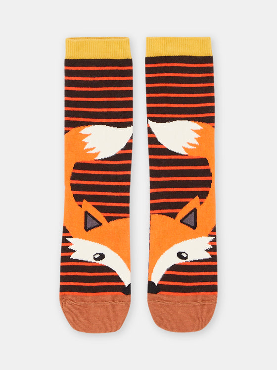 BOY ORANGE FOX SOCKS