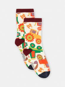  Boy multicolored tractor socks