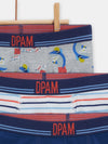 boys set of 3 assorted multicolored shark boxer shorts